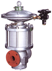 Model with incorporated silencer
